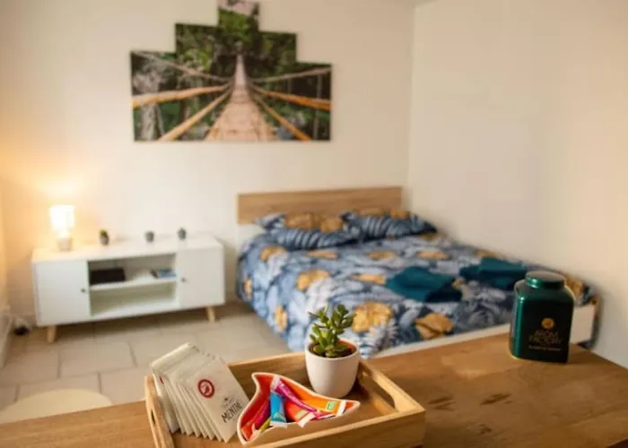 studio cosy confortable et chaleureux