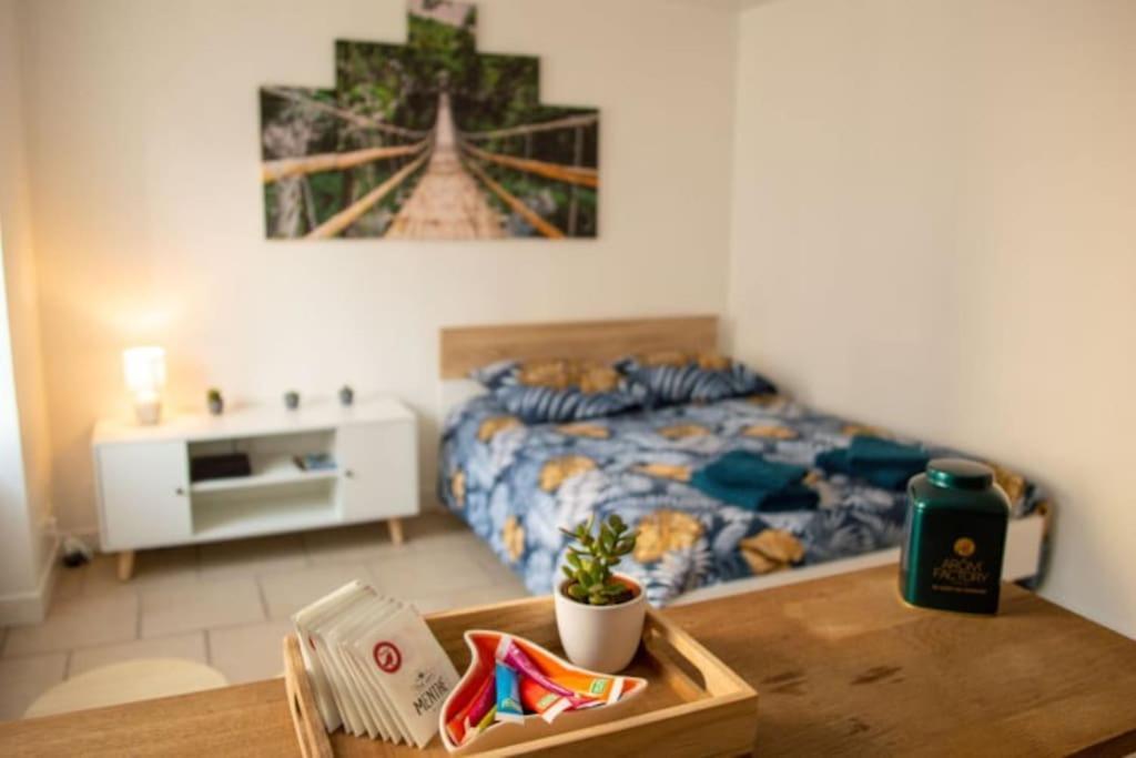 Appartement Cosy Confortable Et Chaleureux