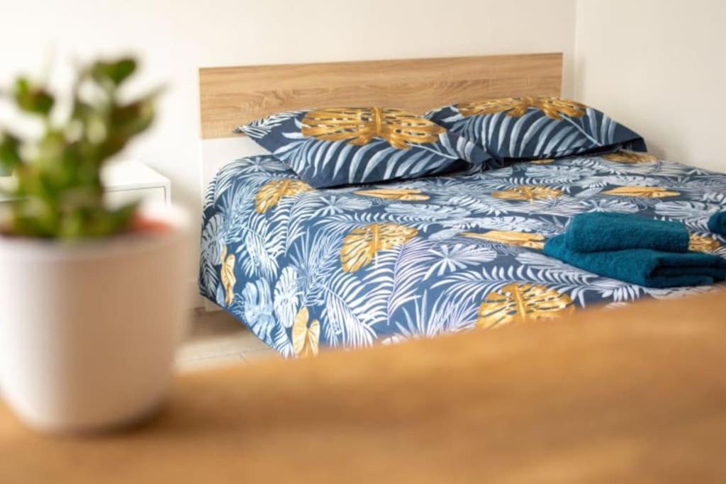 Apartment Cosy Tv Wifi Confortable Et Chaleureux *